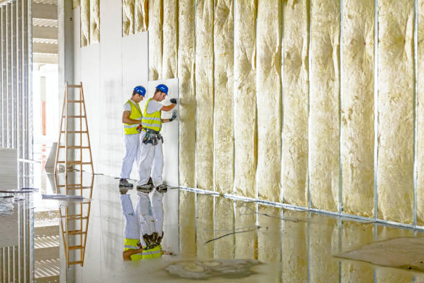 Best Commercial Insulation in Soda Springs, ID